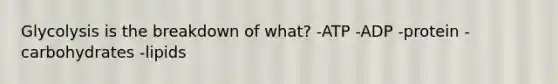 Glycolysis is the breakdown of what? -ATP -ADP -protein -carbohydrates -lipids