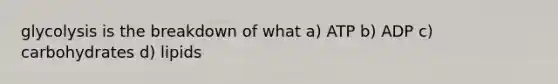 glycolysis is the breakdown of what a) ATP b) ADP c) carbohydrates d) lipids