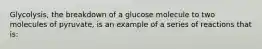 Glycolysis, the breakdown of a glucose molecule to two molecules of pyruvate, is an example of a series of reactions that is: