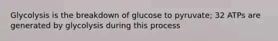 Glycolysis is the breakdown of glucose to pyruvate; 32 ATPs are generated by glycolysis during this process