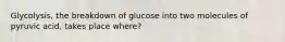 Glycolysis, the breakdown of glucose into two molecules of pyruvic acid, takes place where?