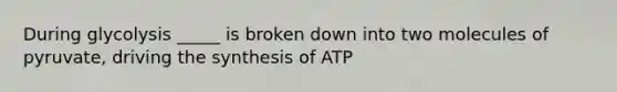 During glycolysis _____ is broken down into two molecules of pyruvate, driving the synthesis of ATP