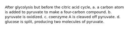 After glycolysis but before the citric acid cycle, a. a carbon atom is added to pyruvate to make a four-carbon compound. b. pyruvate is oxidized. c. coenzyme A is cleaved off pyruvate. d. glucose is split, producing two molecules of pyruvate.