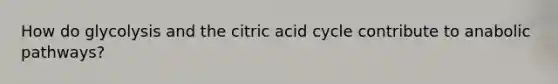 How do glycolysis and the citric acid cycle contribute to anabolic pathways?