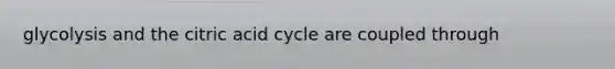 glycolysis and the citric acid cycle are coupled through