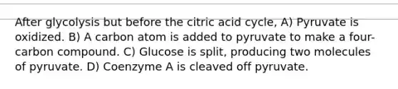 After glycolysis but before the citric acid cycle, A) Pyruvate is oxidized. B) A carbon atom is added to pyruvate to make a four-carbon compound. C) Glucose is split, producing two molecules of pyruvate. D) Coenzyme A is cleaved off pyruvate.