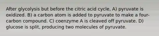 After glycolysis but before the citric acid cycle, A) pyruvate is oxidized. B) a carbon atom is added to pyruvate to make a four-carbon compound. C) coenzyme A is cleaved off pyruvate. D) glucose is split, producing two molecules of pyruvate.