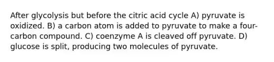 After glycolysis but before the citric acid cycle A) pyruvate is oxidized. B) a carbon atom is added to pyruvate to make a four-carbon compound. C) coenzyme A is cleaved off pyruvate. D) glucose is split, producing two molecules of pyruvate.