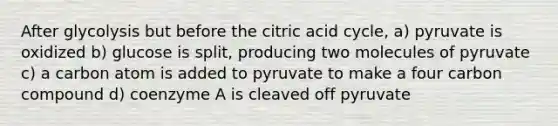 After glycolysis but before the citric acid cycle, a) pyruvate is oxidized b) glucose is split, producing two molecules of pyruvate c) a carbon atom is added to pyruvate to make a four carbon compound d) coenzyme A is cleaved off pyruvate