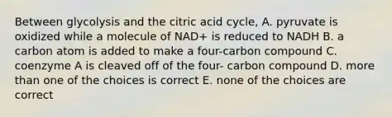 Between glycolysis and the citric acid cycle, A. pyruvate is oxidized while a molecule of NAD+ is reduced to NADH B. a carbon atom is added to make a four-carbon compound C. coenzyme A is cleaved off of the four- carbon compound D. <a href='https://www.questionai.com/knowledge/keWHlEPx42-more-than' class='anchor-knowledge'>more than</a> one of the choices is correct E. none of the choices are correct