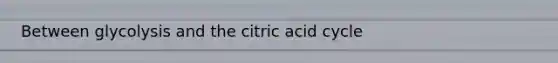 Between glycolysis and the citric acid cycle