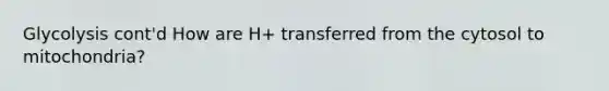 Glycolysis cont'd How are H+ transferred from the cytosol to mitochondria?