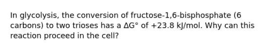 In glycolysis, the conversion of fructose-1,6-bisphosphate (6 carbons) to two trioses has a ∆G° of +23.8 kJ/mol. Why can this reaction proceed in the cell?