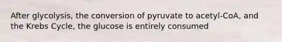 After glycolysis, the conversion of pyruvate to acetyl-CoA, and the Krebs Cycle, the glucose is entirely consumed