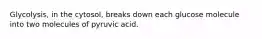 Glycolysis, in the cytosol, breaks down each glucose molecule into two molecules of pyruvic acid.