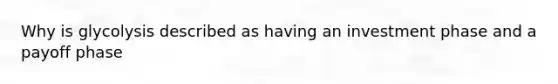 Why is glycolysis described as having an investment phase and a payoff phase