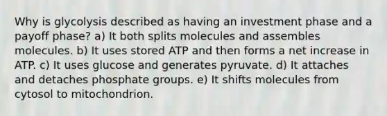 Why is glycolysis described as having an investment phase and a payoff phase? a) It both splits molecules and assembles molecules. b) It uses stored ATP and then forms a net increase in ATP. c) It uses glucose and generates pyruvate. d) It attaches and detaches phosphate groups. e) It shifts molecules from cytosol to mitochondrion.