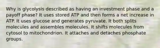 Why is glycolysis described as having an investment phase and a payoff phase? It uses stored ATP and then forms a net increase in ATP. It uses glucose and generates pyruvate. It both splits molecules and assembles molecules. It shifts molecules from cytosol to mitochondrion. It attaches and detaches phosphate groups.