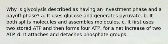 Why is glycolysis described as having an investment phase and a payoff phase? a. It uses glucose and generates pyruvate. b. It both splits molecules and assembles molecules. c. It first uses two stored ATP and then forms four ATP, for a net increase of two ATP. d. It attaches and detaches phosphate groups.