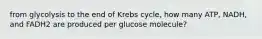 from glycolysis to the end of Krebs cycle, how many ATP, NADH, and FADH2 are produced per glucose molecule?