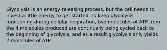 Glycolysis is an energy-releasing process, but the cell needs to invest a little energy to get started. To keep glycolysis functioning during cellular respiration, two molecules of ATP from the 4 molecules produced are continually being cycled back to the beginning of glycolysis, and as a result glycolysis only yields 2 molecules of ATP.