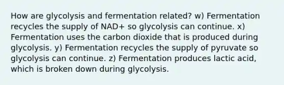 How are glycolysis and fermentation related? w) Fermentation recycles the supply of NAD+ so glycolysis can continue. x) Fermentation uses the carbon dioxide that is produced during glycolysis. y) Fermentation recycles the supply of pyruvate so glycolysis can continue. z) Fermentation produces lactic acid, which is broken down during glycolysis.