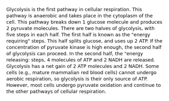 Glycolysis is the first pathway in <a href='https://www.questionai.com/knowledge/k1IqNYBAJw-cellular-respiration' class='anchor-knowledge'>cellular respiration</a>. This pathway is anaerobic and takes place in the cytoplasm of the cell. This pathway breaks down 1 glucose molecule and produces 2 pyruvate molecules. There are two halves of glycolysis, with five steps in each half. The first half is known as the "energy requiring" steps. This half splits glucose, and uses up 2 ATP. If the concentration of pyruvate kinase is high enough, the second half of glycolysis can proceed. In the second half, the "energy releasing: steps, 4 molecules of ATP and 2 NADH are released. Glycolysis has a net gain of 2 ATP molecules and 2 NADH. Some cells (e.g., mature mammalian red blood cells) cannot undergo <a href='https://www.questionai.com/knowledge/kyxGdbadrV-aerobic-respiration' class='anchor-knowledge'>aerobic respiration</a>, so glycolysis is their only source of ATP. However, most cells undergo <a href='https://www.questionai.com/knowledge/kmqf6pkmgc-pyruvate-oxidation' class='anchor-knowledge'>pyruvate oxidation</a> and continue to the other pathways of cellular respiration.