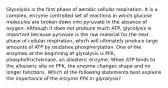 Glycolysis is the first phase of aerobic cellular respiration. It is a complex, enzyme controlled set of reactions in which glucose molecules are broken down into pyruvate in the absence of oxygen. Although it does not produce much ATP, glycolysis is important because pyruvate is the raw material for the next phase of cellular respiration, which will ultimately produce large amounts of ATP by oxidative phosphorylation. One of the enzymes at the beginning of glycolysis is PFK, phosphofructokinase, an allosteric enzyme. When ATP binds to the allosteric site on PFK, the enzyme changes shape and no longer functions. Which of the following statements best explains the importance of the enzyme PFK in glycolysis?