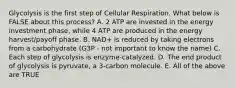 Glycolysis is the first step of Cellular Respiration. What below is FALSE about this process? A. 2 ATP are invested in the energy investment phase, while 4 ATP are produced in the energy harvest/payoff phase. B. NAD+ is reduced by taking electrons from a carbohydrate (G3P - not important to know the name) C. Each step of glycolysis is enzyme-catalyzed. D. The end product of glycolysis is pyruvate, a 3-carbon molecule. E. All of the above are TRUE