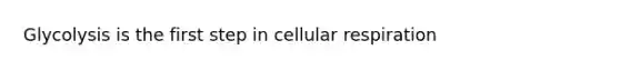 Glycolysis is the first step in cellular respiration