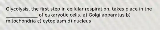 Glycolysis, the first step in cellular respiration, takes place in the ______________ of eukaryotic cells. a) Golgi apparatus b) mitochondria c) cytoplasm d) nucleus