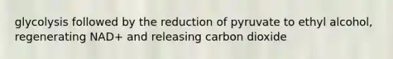 glycolysis followed by the reduction of pyruvate to ethyl alcohol, regenerating NAD+ and releasing carbon dioxide