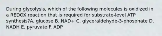 During glycolysis, which of the following molecules is oxidized in a REDOX reaction that is required for substrate-level ATP synthesis?A. glucose B. NAD+ C. glyceraldehyde-3-phosphate D. NADH E. pyruvate F. ADP