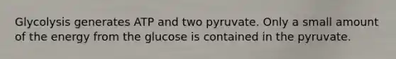 Glycolysis generates ATP and two pyruvate. Only a small amount of the energy from the glucose is contained in the pyruvate.