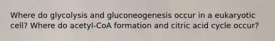 Where do glycolysis and gluconeogenesis occur in a eukaryotic cell? Where do acetyl-CoA formation and citric acid cycle occur?