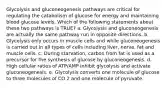 Glycolysis and gluconeogenesis pathways are critical for regulating the catabolism of glucose for energy and maintaining blood glucose levels. Which of the following statements about these two pathways is TRUE? a. Glycolysis and gluconeogenesis are actually the same pathway run in opposite directions. b. Glycolysis only occurs in muscle cells and while gluconeogenesis is carried out in all types of cells including liver, nerve, fat and muscle cells. c. During starvation, carbon from fat is used as a precursor for the synthesis of glucose by gluconeogenesis. d. High cellular ratios of ATP/AMP inhibit glycolysis and activate gluconeogenesis. e. Glycolysis converts one molecule of glucose to three molecules of CO 2 and one molecule of pyruvate.