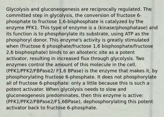 Glycolysis and gluconeogenesis are reciprocally regulated. The committed step in glycolysis, the conversion of fructose 6-phosphate to fructose 1,6-bisphosphate is catalyzed by the enzyme PFK1. This type of enzyme is a (kinase/phosphatase) and its function is to phosphorylate its substrate, using ATP as the phosphoryl donor. This enzyme's activity is greatly stimulated when (fructose 6 phosphate/fructose 1,6 bisphosphate/fructose 2,6 bisphosphate) binds to an allosteric site as a potent activator, resulting in increased flux through glycolysis. Two enzymes control the amount of this molecule in the cell. (PFK1/PFK2/FBPase2/ F1,6 BPase) is the enzyme that makes it, by phosphorylating fructose 6-phosphate. It does not phosphorylate all of fructose 6-phosphate: only a little because this is such a potent activator. When glycolysis needs to slow and gluconeogenesis predominates, then this enzyme is active: (PFK1/PFK2/FBPase2/F1,6BPase), dephosphorylating this potent activator back to fructose 6-phosphate.