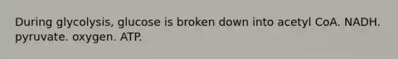 During glycolysis, glucose is broken down into acetyl CoA. NADH. pyruvate. oxygen. ATP.