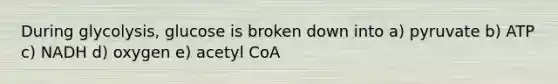 During glycolysis, glucose is broken down into a) pyruvate b) ATP c) NADH d) oxygen e) acetyl CoA