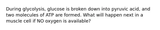 During glycolysis, glucose is broken down into pyruvic acid, and two molecules of ATP are formed. What will happen next in a muscle cell if NO oxygen is available?
