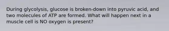 During glycolysis, glucose is broken-down into pyruvic acid, and two molecules of ATP are formed. What will happen next in a muscle cell is NO oxygen is present?