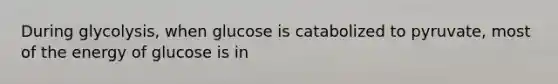 During glycolysis, when glucose is catabolized to pyruvate, most of the energy of glucose is in