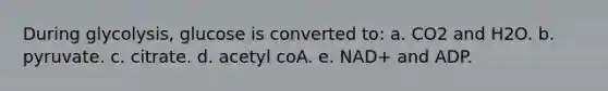 During glycolysis, glucose is converted to: a. CO2 and H2O. b. pyruvate. c. citrate. d. acetyl coA. e. NAD+ and ADP.