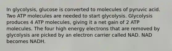 In glycolysis, glucose is converted to molecules of pyruvic acid. Two ATP molecules are needed to start glycolysis. Glycolysis produces 4 ATP molecules, giving it a net gain of 2 ATP molecules. The four high energy electrons that are removed by glycolysis are picked by an electron carrier called NAD. NAD becomes NADH.