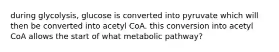 during glycolysis, glucose is converted into pyruvate which will then be converted into acetyl CoA. this conversion into acetyl CoA allows the start of what metabolic pathway?