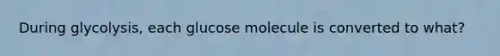 During glycolysis, each glucose molecule is converted to what?