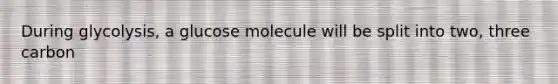 During glycolysis, a glucose molecule will be split into two, three carbon