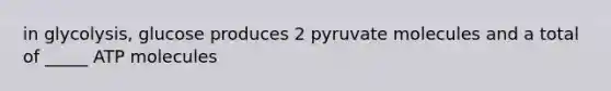 in glycolysis, glucose produces 2 pyruvate molecules and a total of _____ ATP molecules