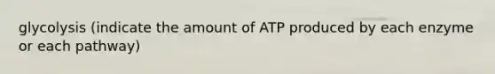 glycolysis (indicate the amount of ATP produced by each enzyme or each pathway)