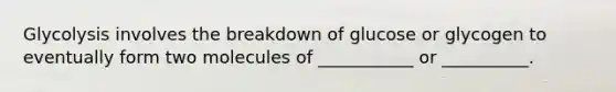 Glycolysis involves the breakdown of glucose or glycogen to eventually form two molecules of ___________ or __________.